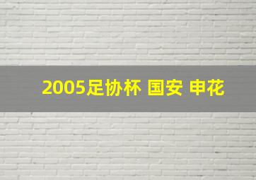 2005足协杯 国安 申花